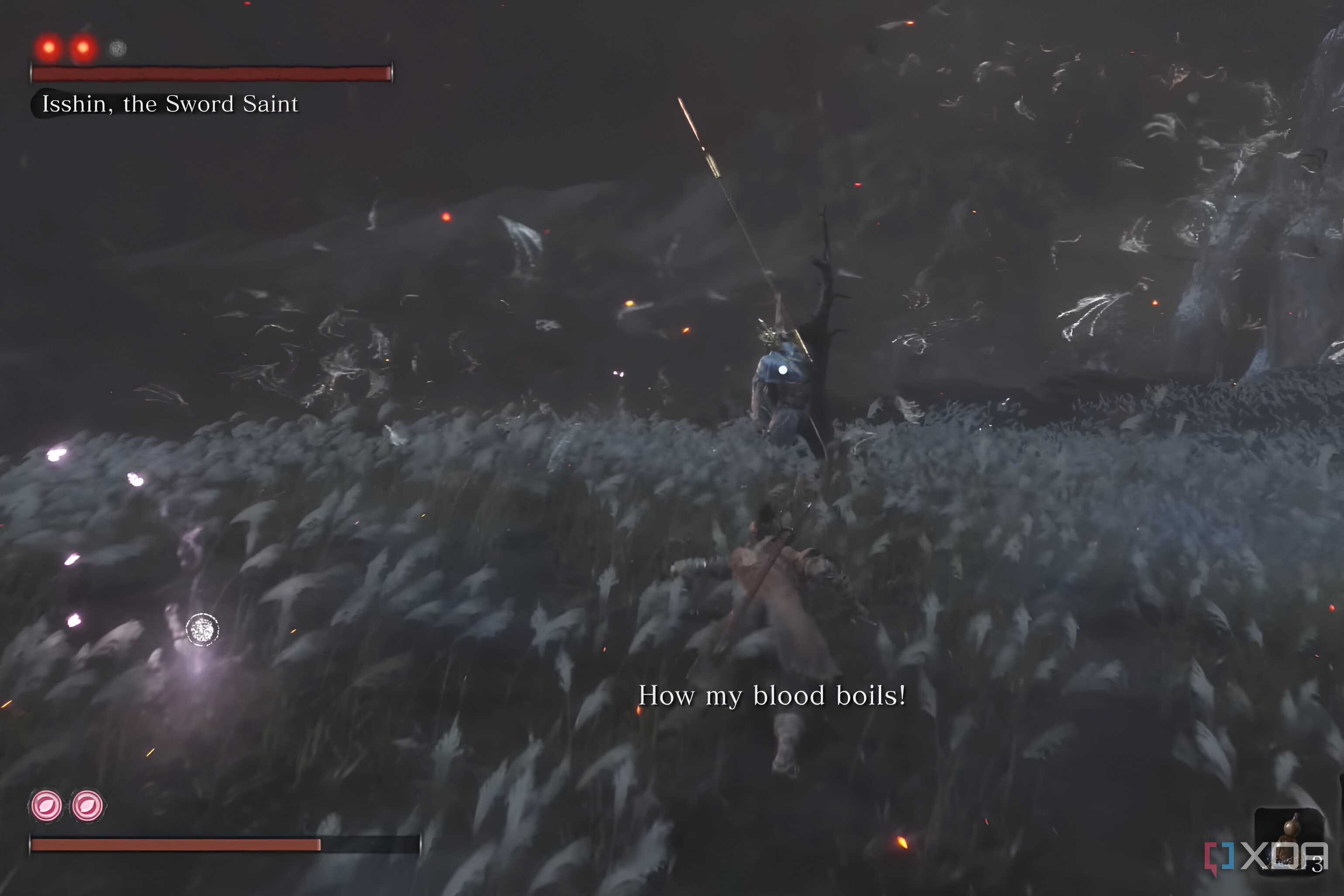 An image from the game Sekiro: Shadows Die Twice, showing the final boss fight in a field.