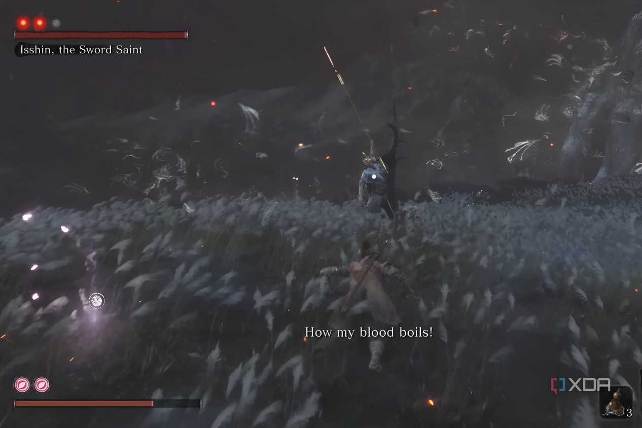 An image from the game Sekiro: Shadows Die Twice, showing the final boss fight in a field.
