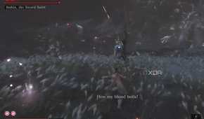 An image from the game Sekiro: Shadows Die Twice, showing the final boss fight in a field.