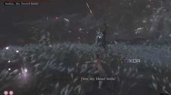 An image from the game Sekiro: Shadows Die Twice, showing the final boss fight in a field.