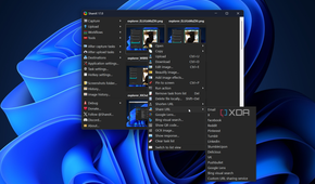 sharing options in sharex