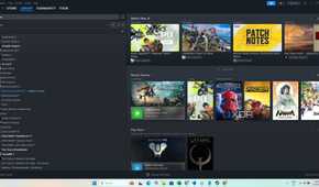 Steam Interface