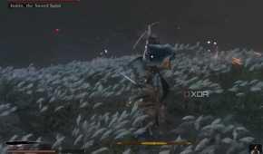 An image from the game Sekiro: Shadows Die Twice, showing Sekiro, the wolf, take on Isshin the Sword Saint in a field.
