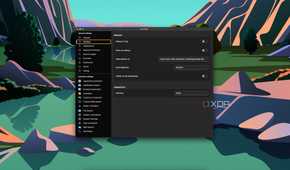 Screenshot of Ueli Window settings on macOS
