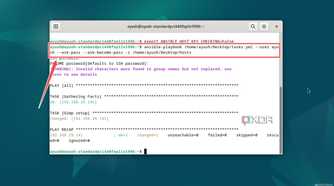 Executing the command to deploy an Ansible Playbook