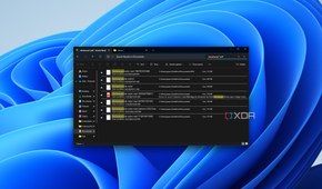 Screenshot of Windows search results using a wildcard