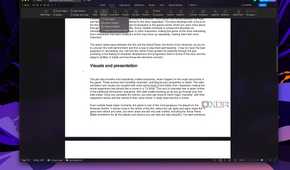 Screenshot of WPS Office displaying a document with numerous paragraphs