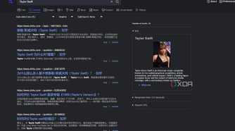 A screenshot of SearXNG's confusing search results.