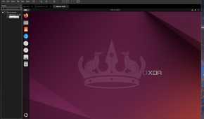 A screenshot of VMWare Workstation Pro running Ubuntu