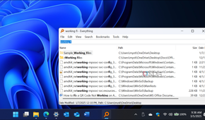 Screenshot show Everything installed on Windows 11 and using it to search for files and folders