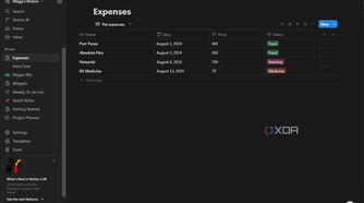 a database in notion with pet expenses