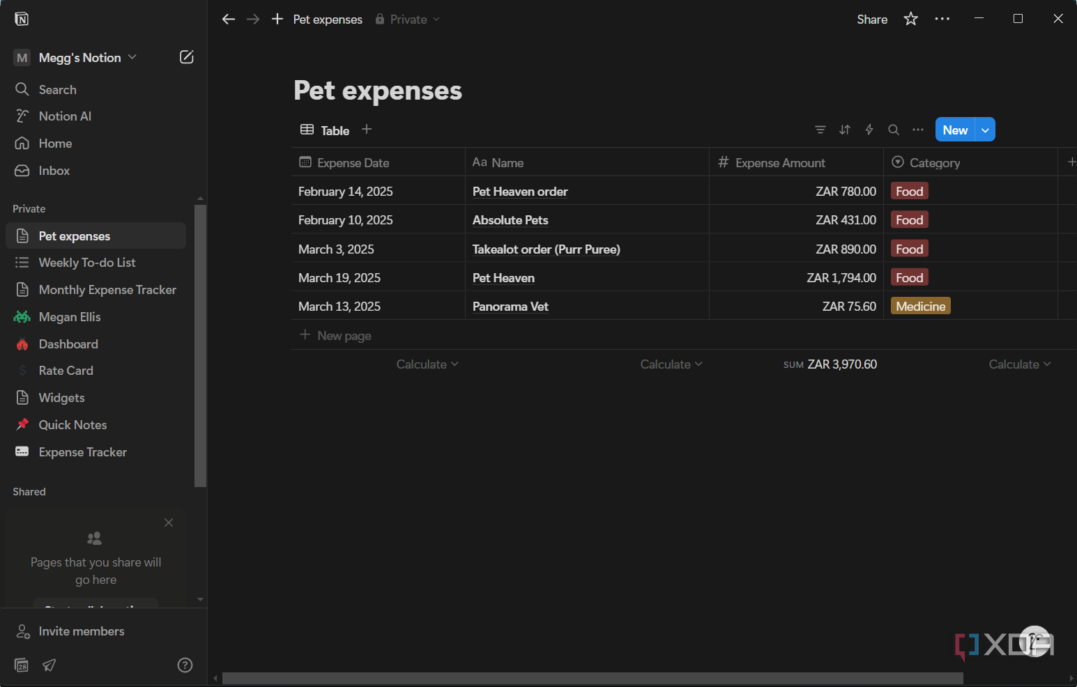 a simple pet expenses form in notion