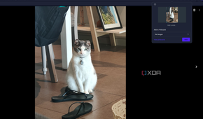 adding an image to a pinboard in opera