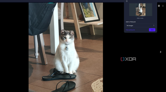 adding an image to a pinboard in opera