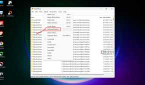 Advanced Search option Everything-1