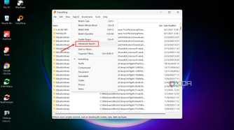 Advanced Search option Everything-1