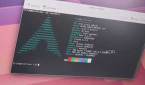 Screenshot showing Arch Linux Konsole neofetch