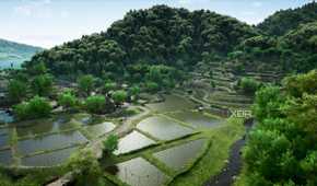 A screenshot from Assassin's Creed Shadows, showing water-logged farmlands in a valley.