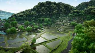 A screenshot from Assassin's Creed Shadows, showing water-logged farmlands in a valley.