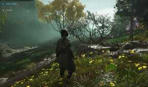 A screenshot from Assassin's Creed Shadows, showing Naoe, the protagonist, standing while surrounded by foliage.