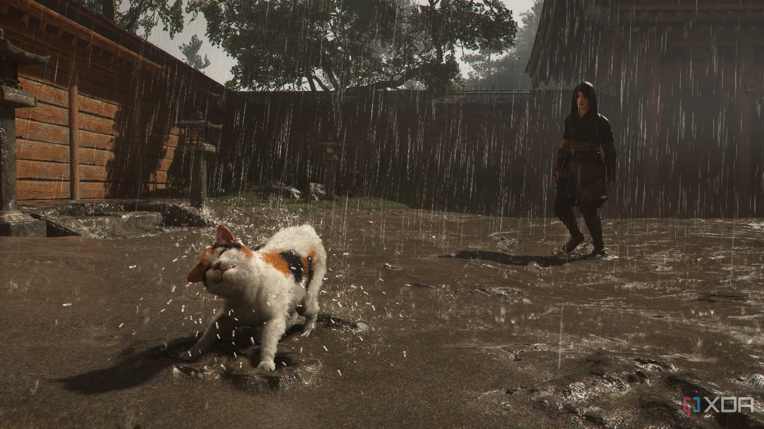A screenshot from Assassin's Creed Shadows, showing Naoe, the female protagonist, looking at a kitten shaking off its wet fur.