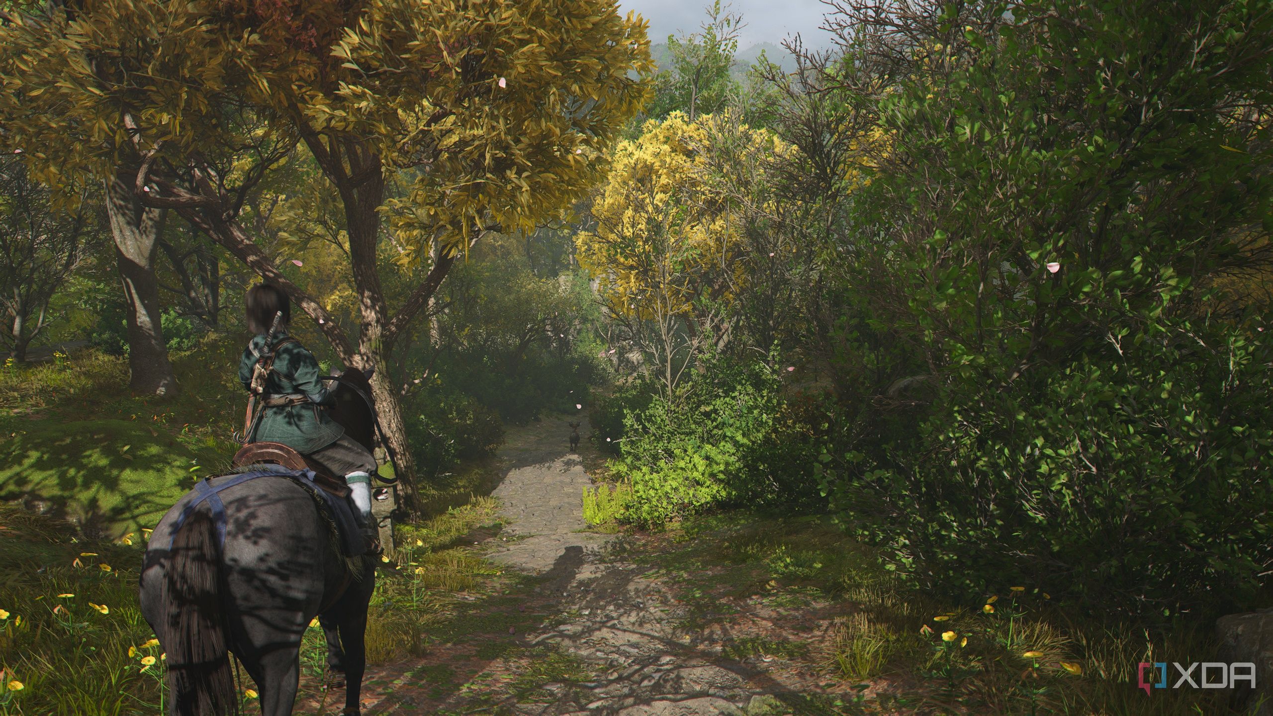 A screenshot from Assassin's Creed Shadows, showing Naoe, the female protagonist, on horseback, riding through a densely vegetated area.