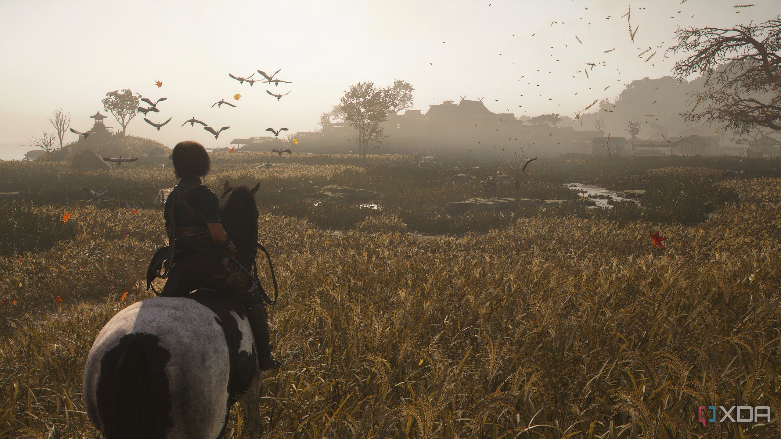 A screenshot from Assassin's Creed Shadows, showing Naoe on horseback in wetlands.