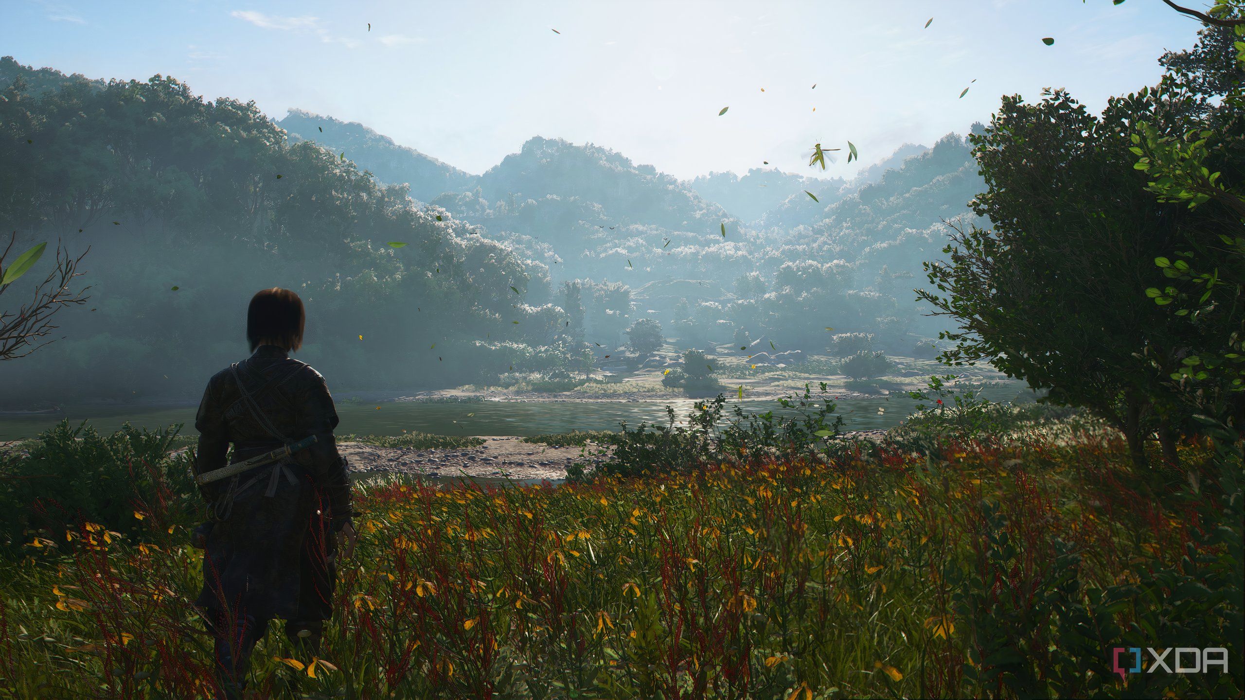 A screenshot from Assassin's Creed Shadows, showing Naoe standing in a beautiful grassland overlooking a valley.
