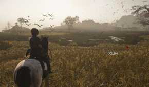 A screenshot from Assassin's Creed Shadows, showing a woman on horseback in the wetlands.