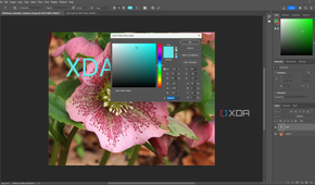 Changing text color in Photoshop, pink flower in editing window