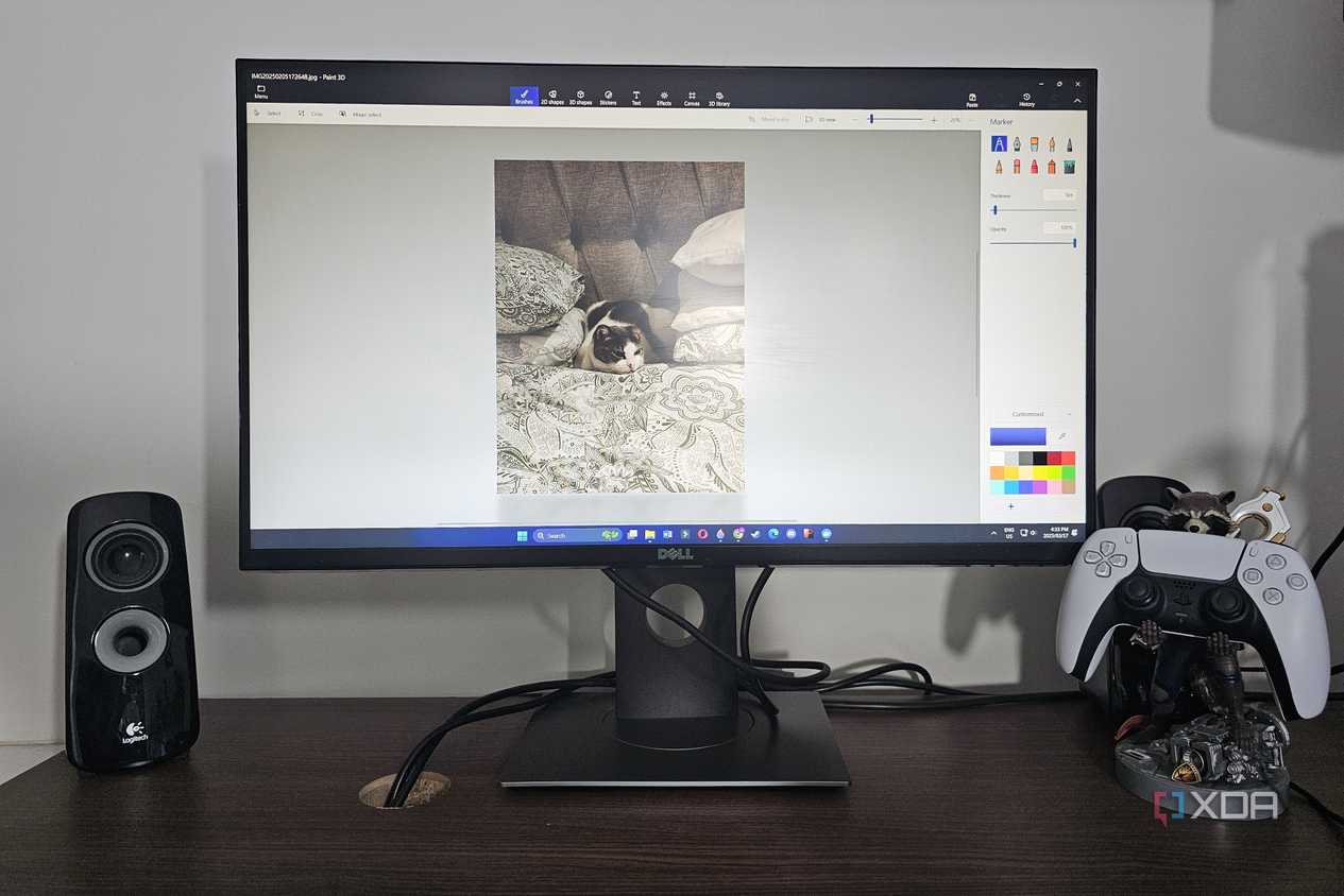 computer running paint 3d with an image of a cat