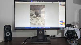 computer running paint 3d with an image of a cat