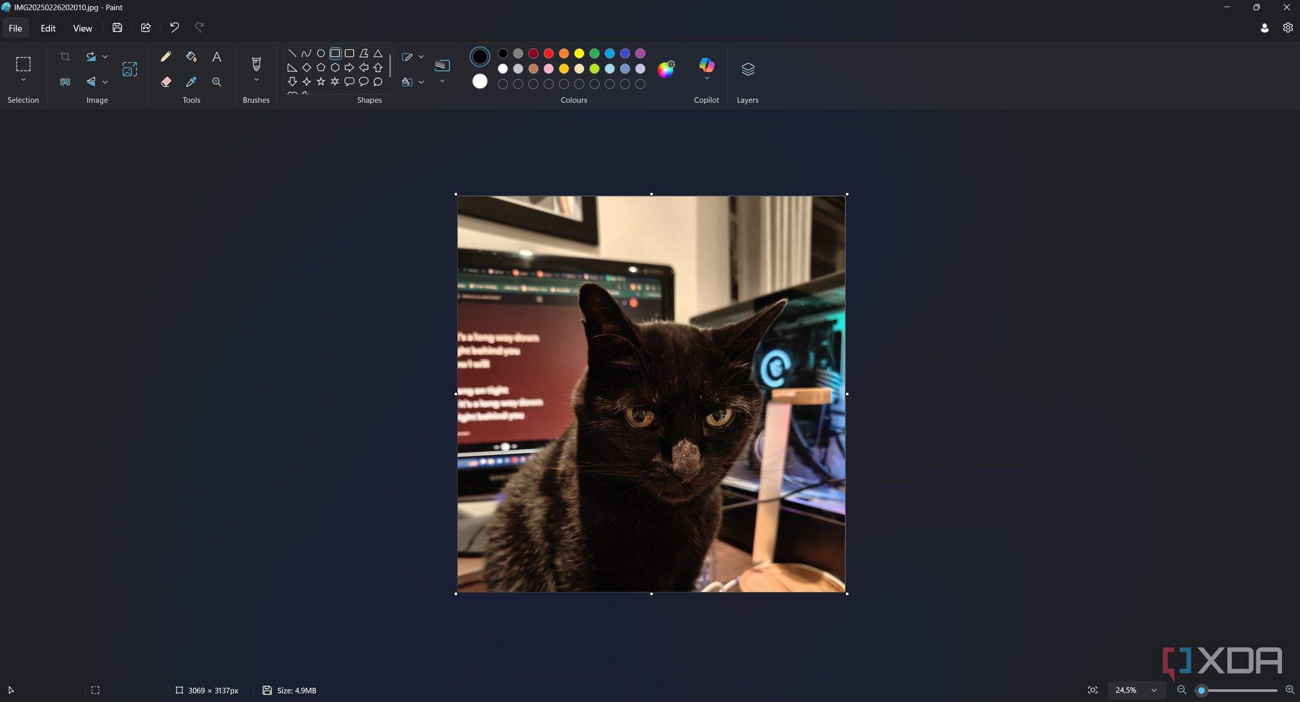 cropped picture of a cat in paint