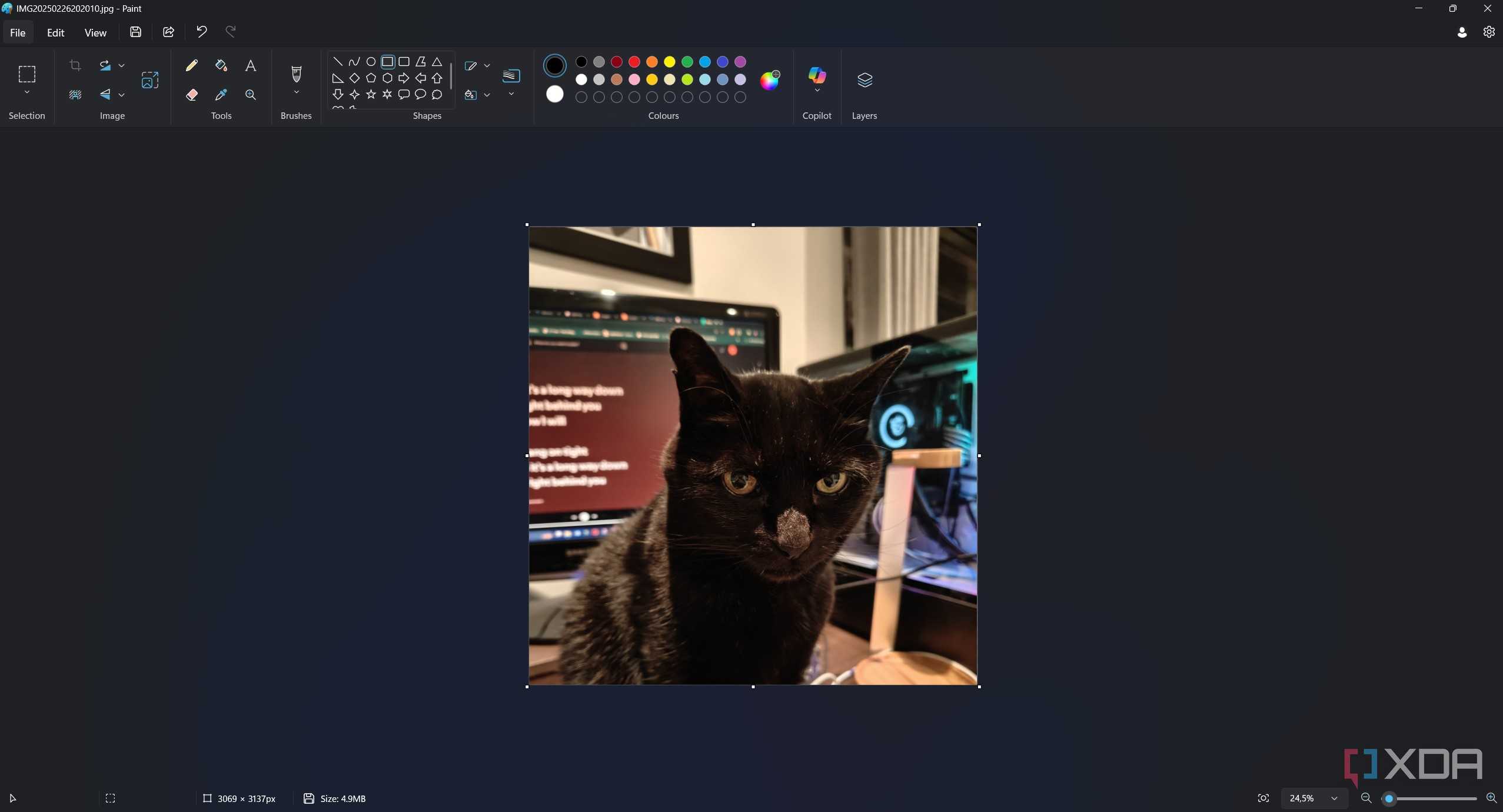 cropped picture of a cat in paint