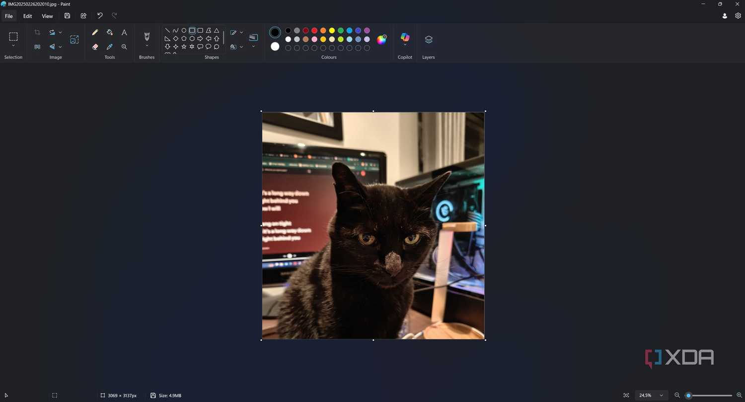 cropped picture of a cat in paint
