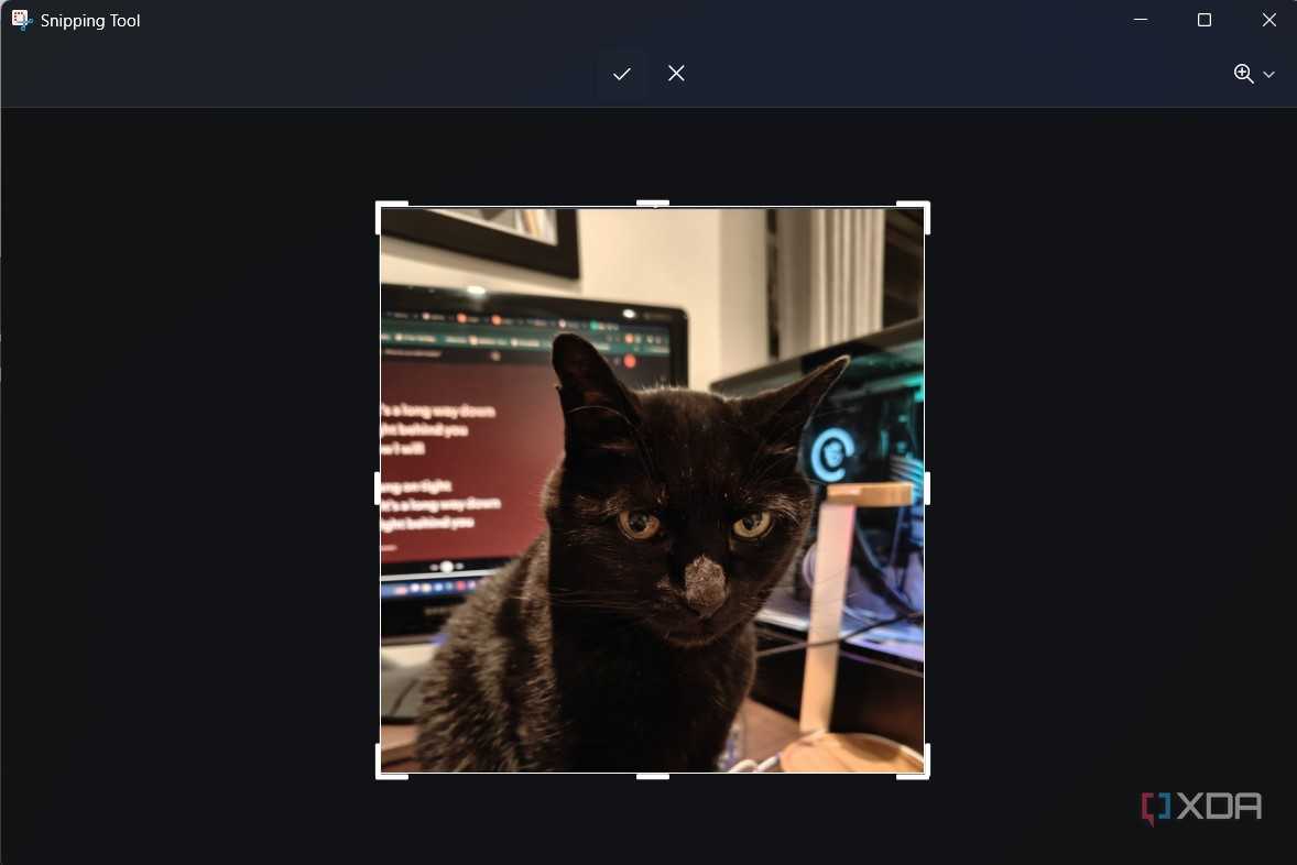 cropping an image with snipping tool