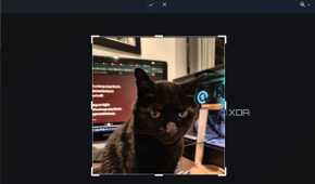 cropping an image with snipping tool