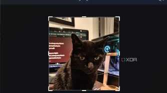 cropping an image with snipping tool