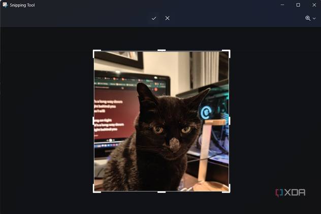 cropping an image with snipping tool