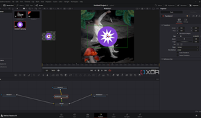 DaVinci Resolve playing back animation