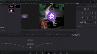 DaVinci Resolve playing back animation