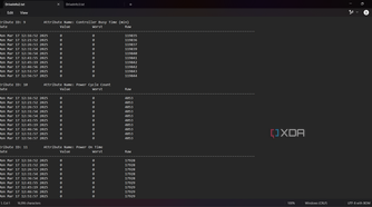 A screnshoot showing an excerpt of a Disk Checkup report