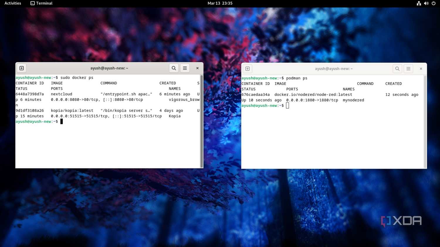 Running Docker and Podman side-by-side