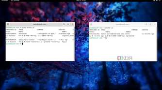 Running Docker and Podman side-by-side