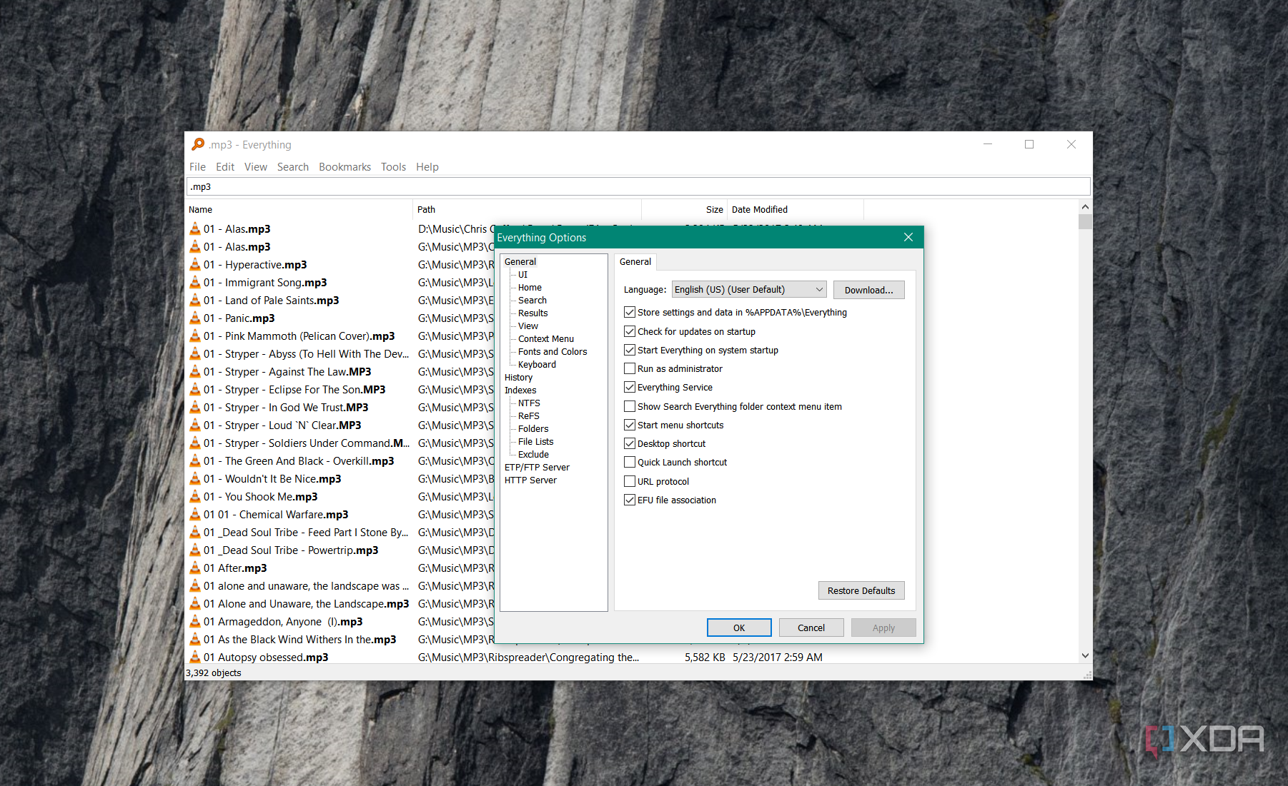 Shows options for Everything on Windows