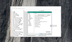 Shows options for Everything on Windows