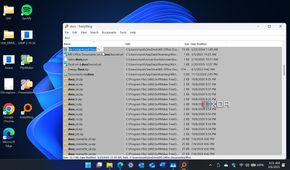 Screenshot shows Everything running on a Windows 11 PC