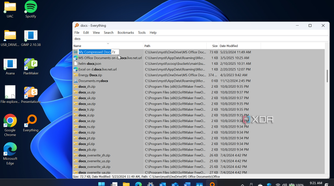 Screenshot shows Everything running on a Windows 11 PC