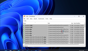 screenshot shows Everything search results in real-time