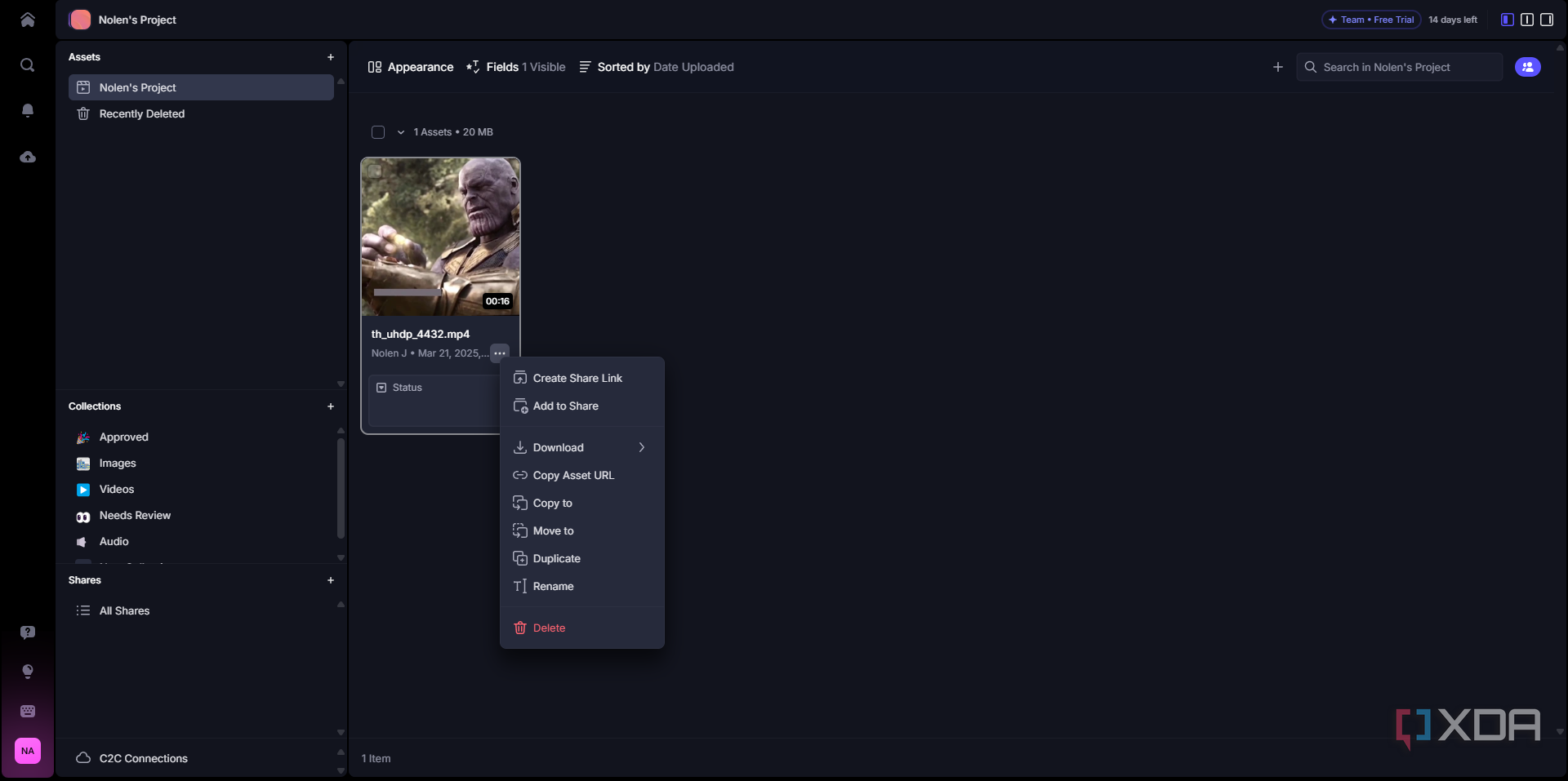 Frame IO project options